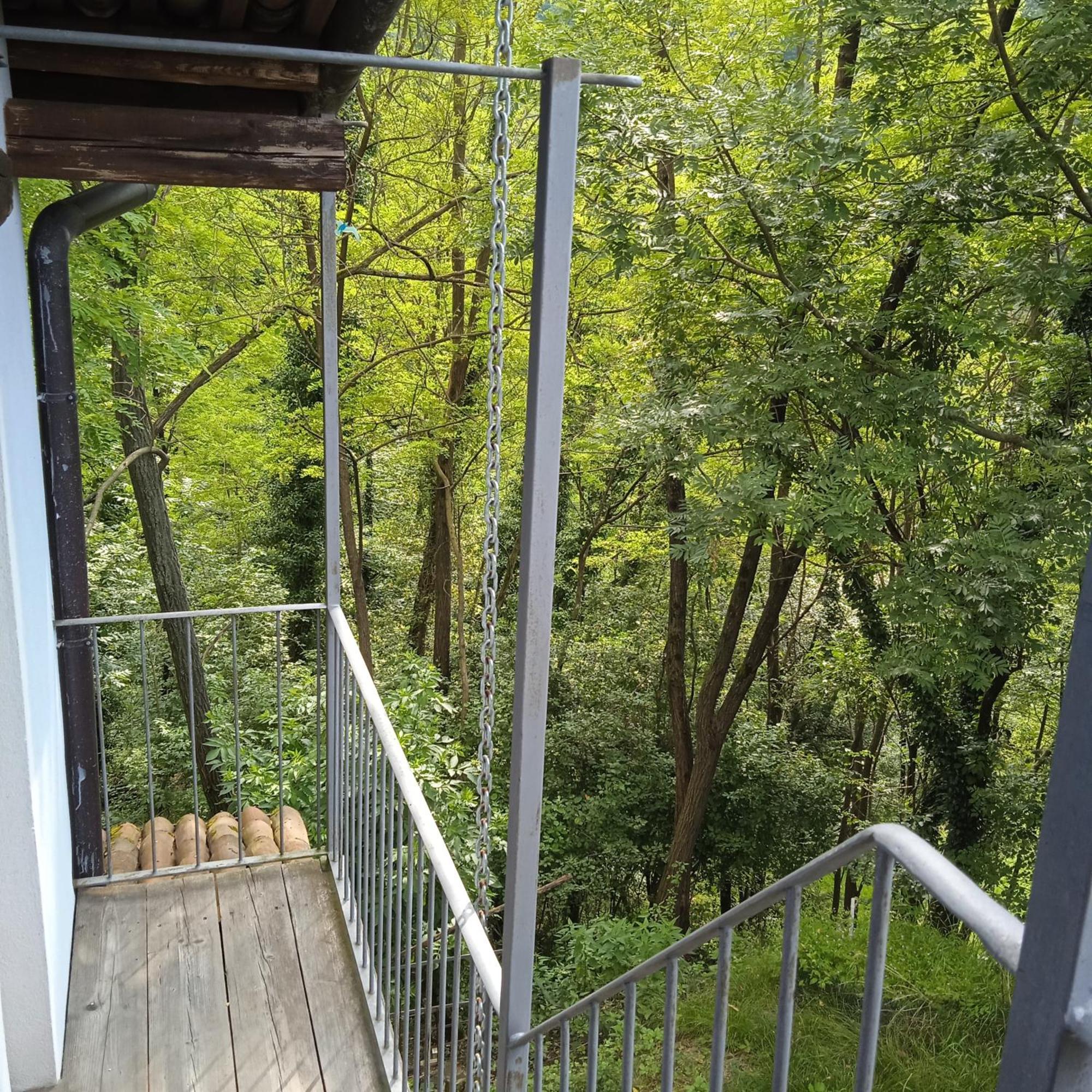 Il Canto Del Bosco Netro Luaran gambar